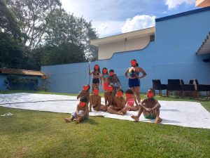 O que é SAICA?